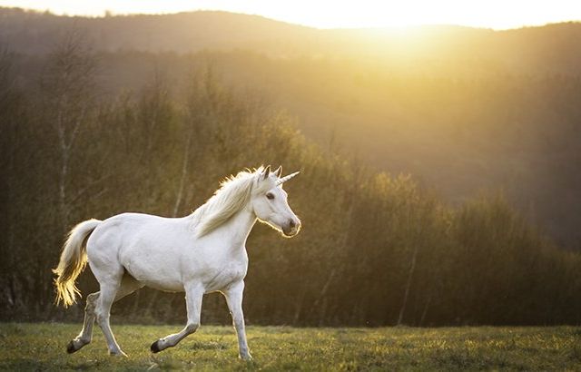 20230530-todays-real-estate-market-the-unicorns-have-galloped-off