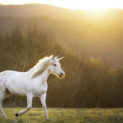 20230530-todays-real-estate-market-the-unicorns-have-galloped-off