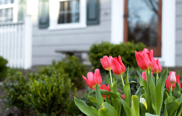 20260305-Blog-Header-Image-original